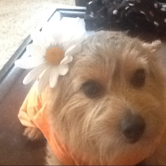 Meet your Posher, S - Picture 1 of 1